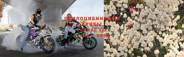ALPHA PVP Алексин