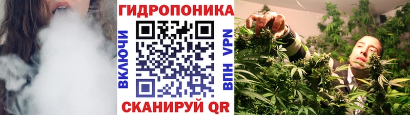 Бошки Шишки семена  купить   Верхоянск 